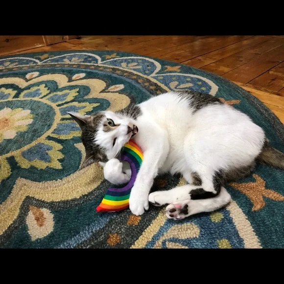 The Boys - Picture 6 of 7